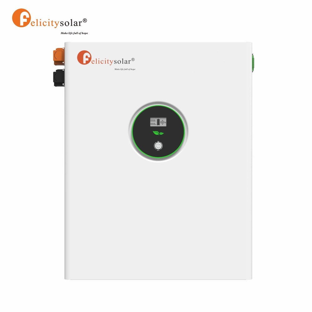 Felicity lithium ion battery 48v 200ah